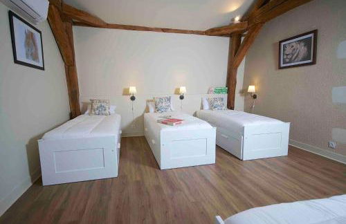 maison d'hôtes de l'orangerie 14 personnes - Foto 30