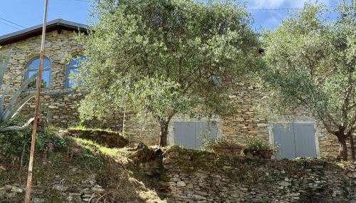 HOST4U - A Beautiful Gardened Maria's House - Foto 3, Garden, Garden view