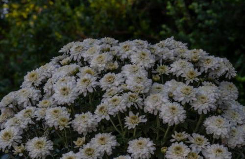 Beachfront Romantica place First floor - Foto 17