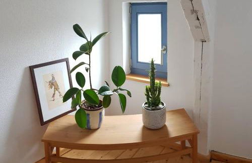 Hering FeWo II Apartment Balcony - Foto 21