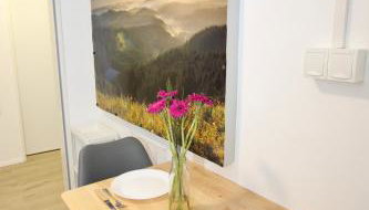 Gemütliches Schwarzwald-Apartment im ruhigen Untergeschoss eines Hauses - Foto 5