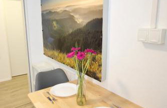 Gemütliches Schwarzwald-Apartment im ruhigen Untergeschoss eines Hauses - Foto 5