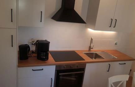 Seemöwe am Naturstrand - Foto 8