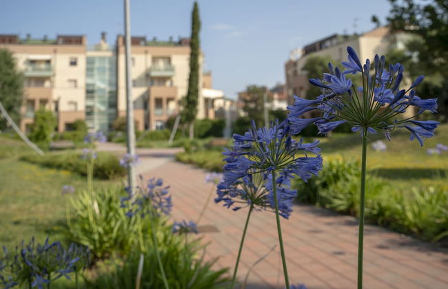 Rosmini Serbati - Foto 24