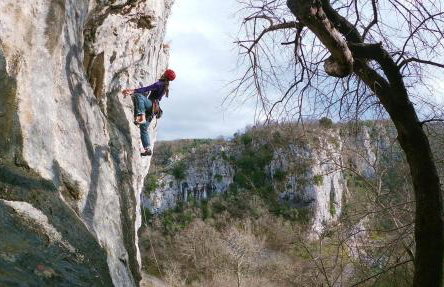 Villa Orljak - Foto 39