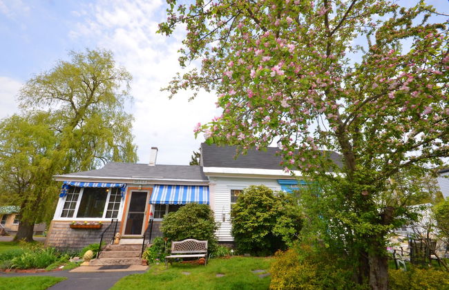 Shorelands Guest Resort and Cottages - Photo 61