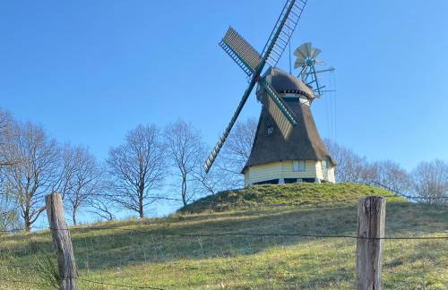 Hus Heideblick -zwischen Natur und Nordsee- - Foto 28