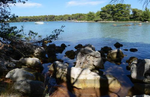 Apartmani Mirko A1 - Photo 7