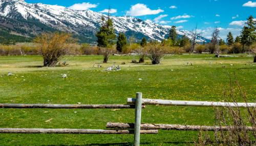 4412 Mackinaw - Foto 2