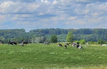 Tymek - domek - Foto 27