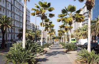 Home2Book Charming Studio Santa Cruz City Views - Foto 16