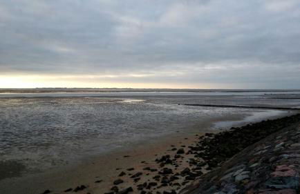 Das Rosenhaus - Photo 21