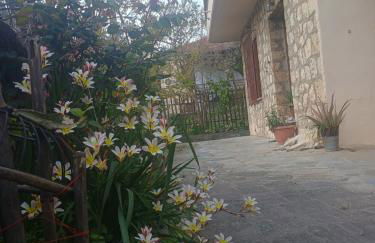 Spartan Antonis' house - Foto 19