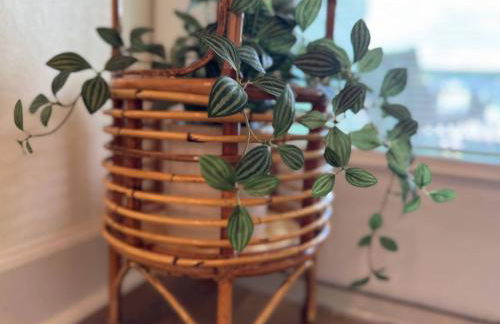 The Orange Blossom Suite Near UF Shands D-town - Photo 59