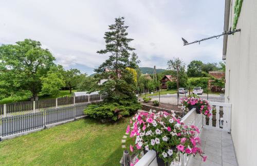 Willa Aleksandra - Apartamenty - Foto 50