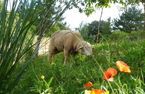 Casas Dos Infantes - Turismo Rural - Foto 78