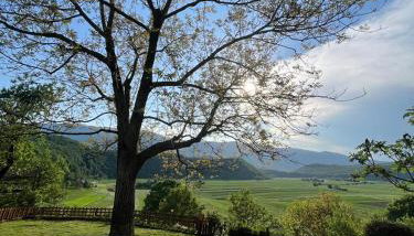 Luxury Apartman Alex with sauna - Foto 5