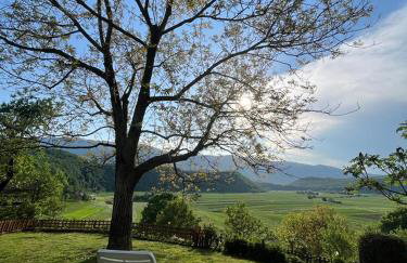 Luxury Apartman Alex with sauna - Foto 5