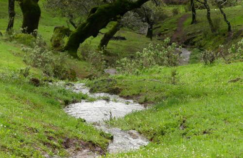 Agua de mayo - Foto 21