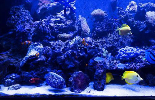 Stylish,luxury duplex Paris city center - Foto 14