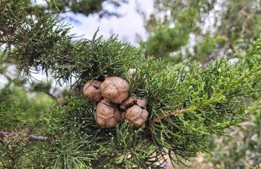 Apartman Milanko - Foto 32