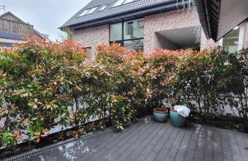 Gasthaus Sürder Hof - Foto 10