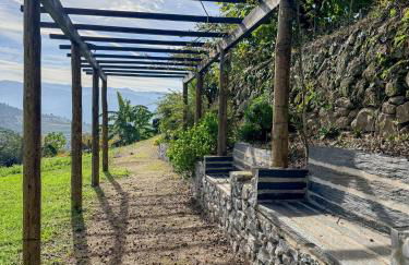 Bosque da Fantasia - Foto 57