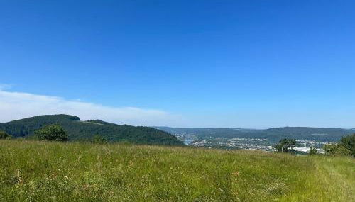 Ferienwohnung Trier Ruwer Mosel - Foto 4