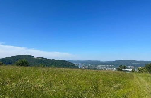 Ferienwohnung Trier Ruwer Mosel - Foto 4