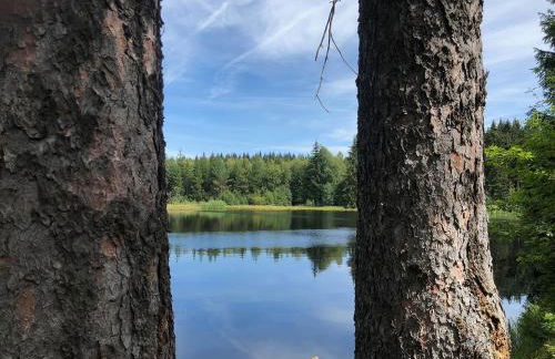 Urlaubsloft AUGUST'S Schatzkiste - Photo 59