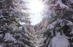 Tendershof Reschen - Foto 13