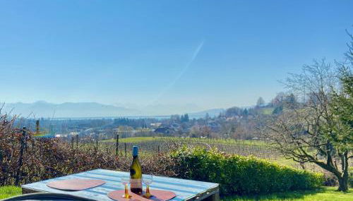 Ferienwohnung Weinberg-Idyll - Traumhafter Blick über Weinberge auf den Bodensee - Foto 3