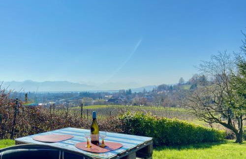 Ferienwohnung Weinberg-Idyll - Traumhafter Blick über Weinberge auf den Bodensee - Foto 3