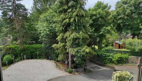 Old Orchard Studio - Foto 3