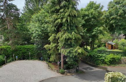 Old Orchard Studio - Foto 3