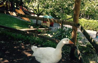 Agriturismo Barcola - Foto 11