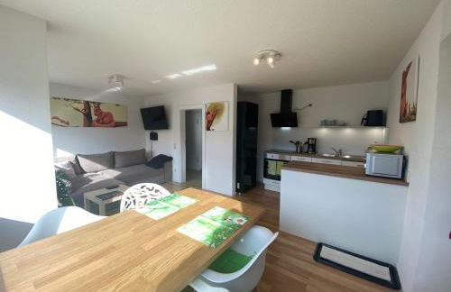 Hochschwarzwald Ferienwohnung - Foto 1