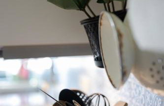 Reetdachkate am Feldrand mit grandiosem Weitblick - Foto 63