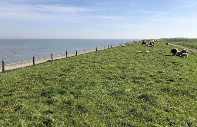 Cozy Chalet with Dishwasher near Wadden Sea - Foto 35