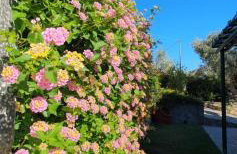 Elia Village by Irida Iris Group - Foto 42