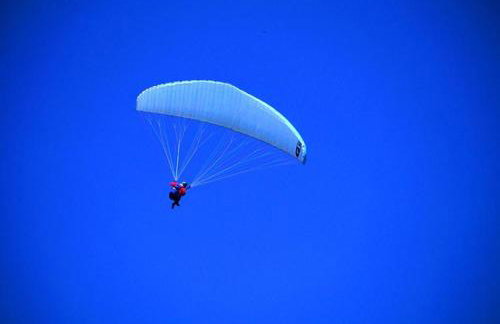 Isolated Villa Terna -Big Garden-Pool-Dalmatia - Foto 48