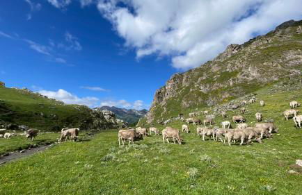 Las Casucas de Remoña - Foto 48