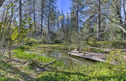 Peaceful Cottage with Grill and Yard in Grass Valley! - Photo 21