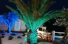 Mignon petit appartement indépendant - Foto 1