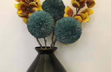 Chabot de Saint Maurice Meublé de Tourisme 3*** - Foto 14