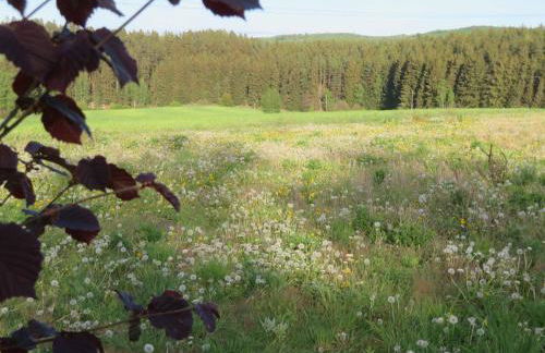 Ferienhaus Waldblick - Foto 40