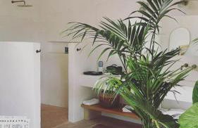 IUTA Glamping & Farm - Foto 104