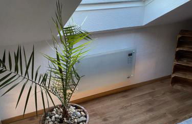 FeWo Skywalk Willingen - Foto 32