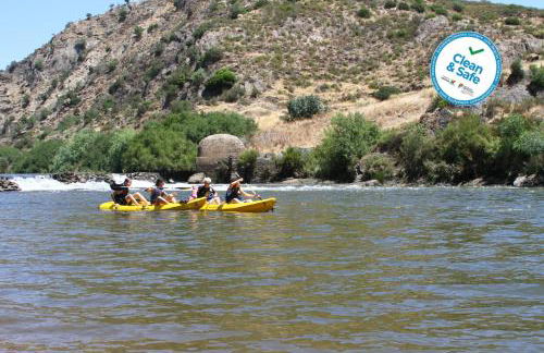 Horta da Quinta - Foto 27