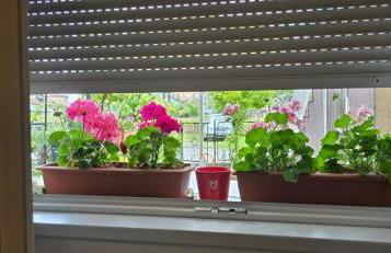 Apartman Tina - Photo 10